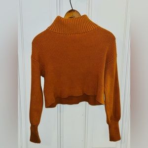 Cropped Turtleneck Sweater
